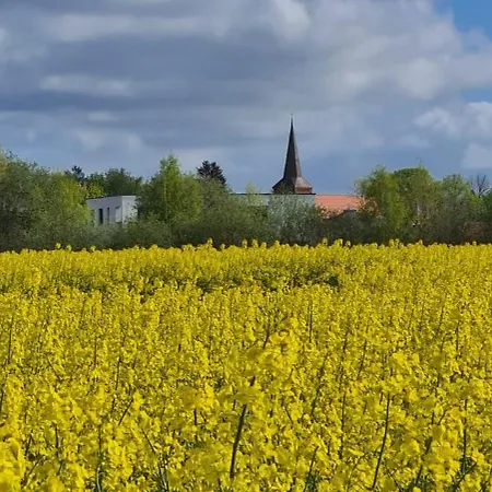 Kranichstube Daire Rovershagen