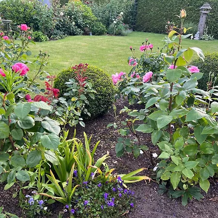 Daire Kranichstube *